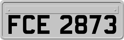 FCE2873