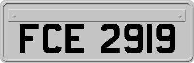 FCE2919