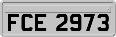 FCE2973