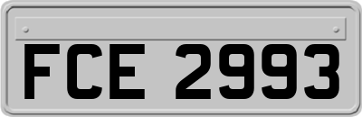 FCE2993