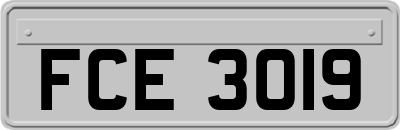 FCE3019