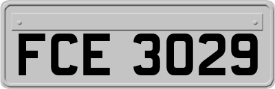 FCE3029