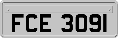 FCE3091
