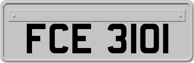FCE3101
