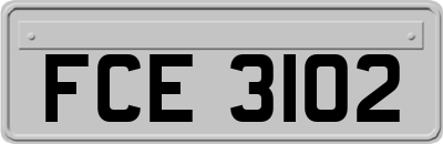 FCE3102