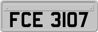 FCE3107