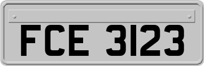 FCE3123