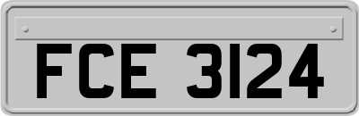 FCE3124