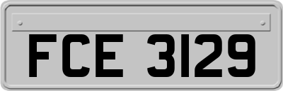 FCE3129