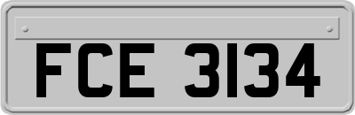 FCE3134