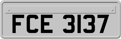 FCE3137