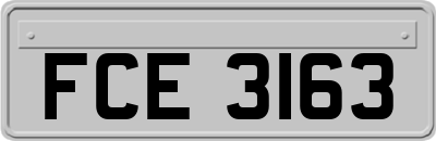 FCE3163