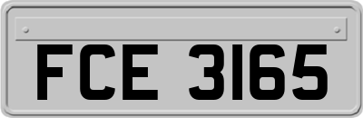 FCE3165