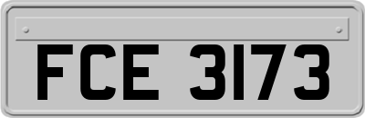 FCE3173
