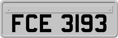 FCE3193
