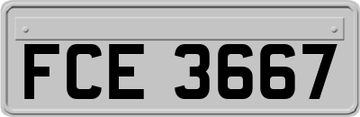 FCE3667