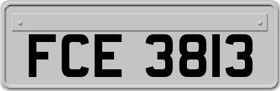 FCE3813