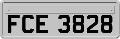 FCE3828