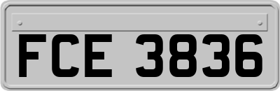 FCE3836