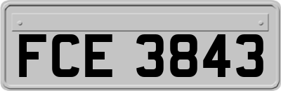 FCE3843