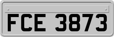 FCE3873