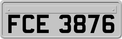 FCE3876