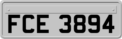 FCE3894