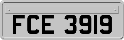 FCE3919