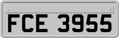 FCE3955