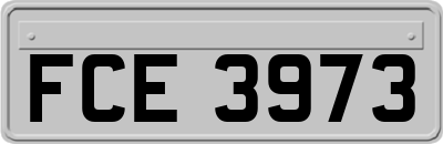 FCE3973