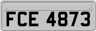 FCE4873