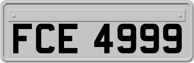 FCE4999