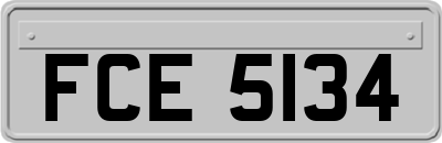 FCE5134
