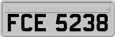 FCE5238