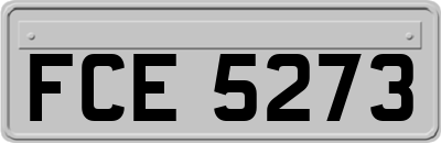 FCE5273