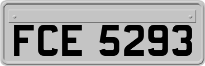 FCE5293