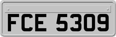 FCE5309