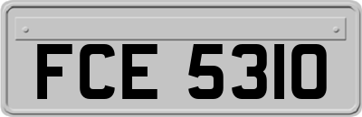 FCE5310