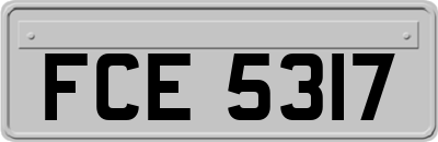 FCE5317