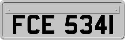 FCE5341