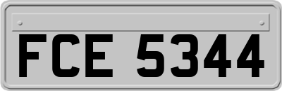 FCE5344