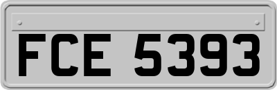FCE5393