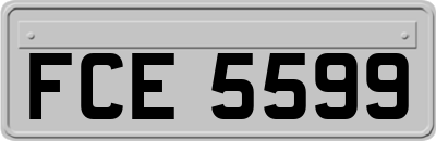 FCE5599