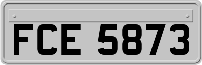 FCE5873