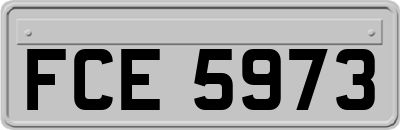 FCE5973