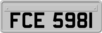 FCE5981