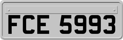 FCE5993