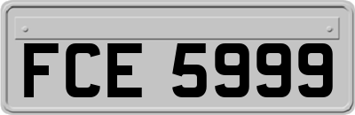 FCE5999