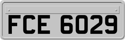 FCE6029