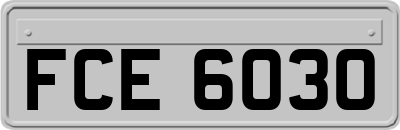FCE6030